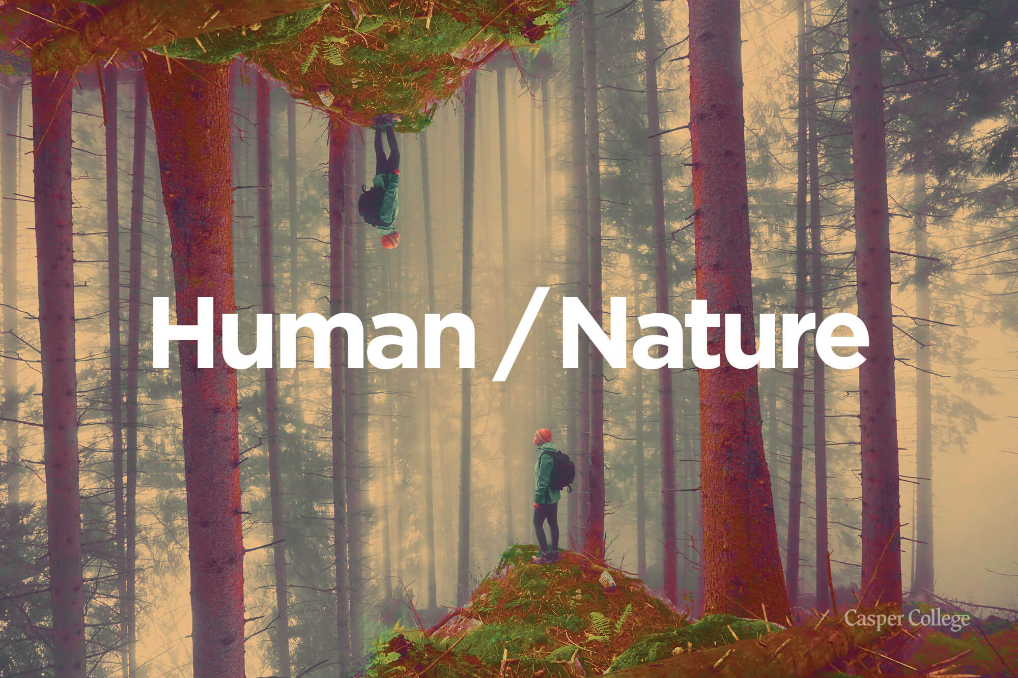 Image for 2024 Humanities Festival press release.